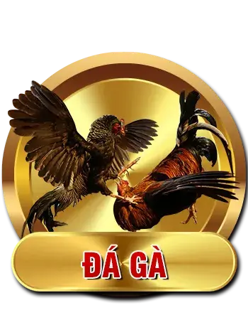 da-ga-ev88